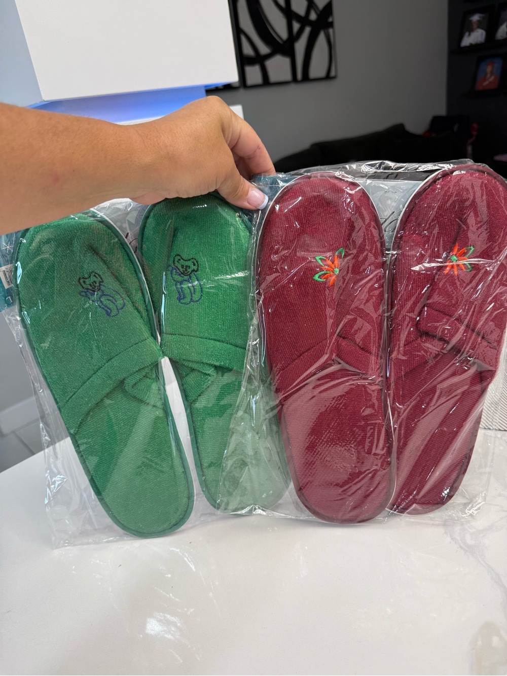Slip-On House Slippers 2 pair Green and Burgundy size Large